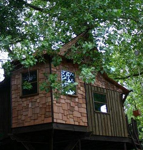 casa-na-arvore