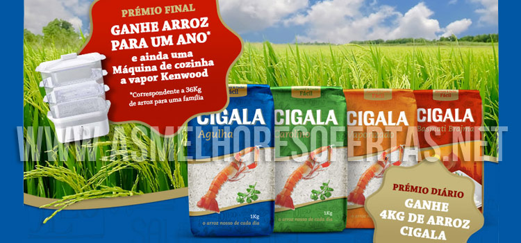 Passatempo Arroz Cigala